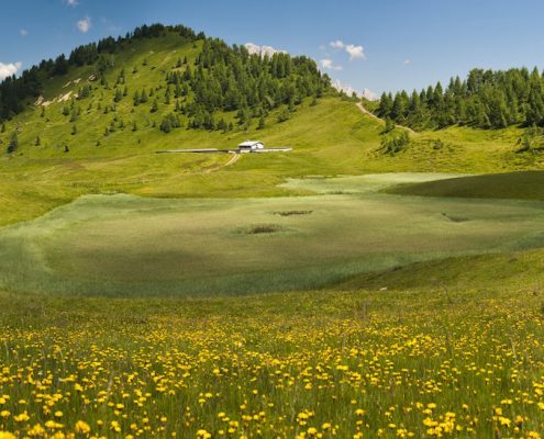 montagna estate