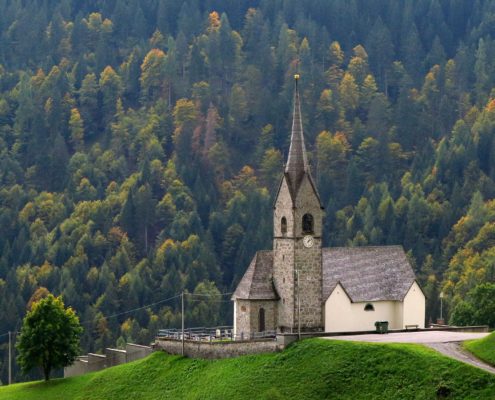 sauris